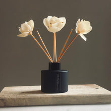 Load image into Gallery viewer, black diffuser