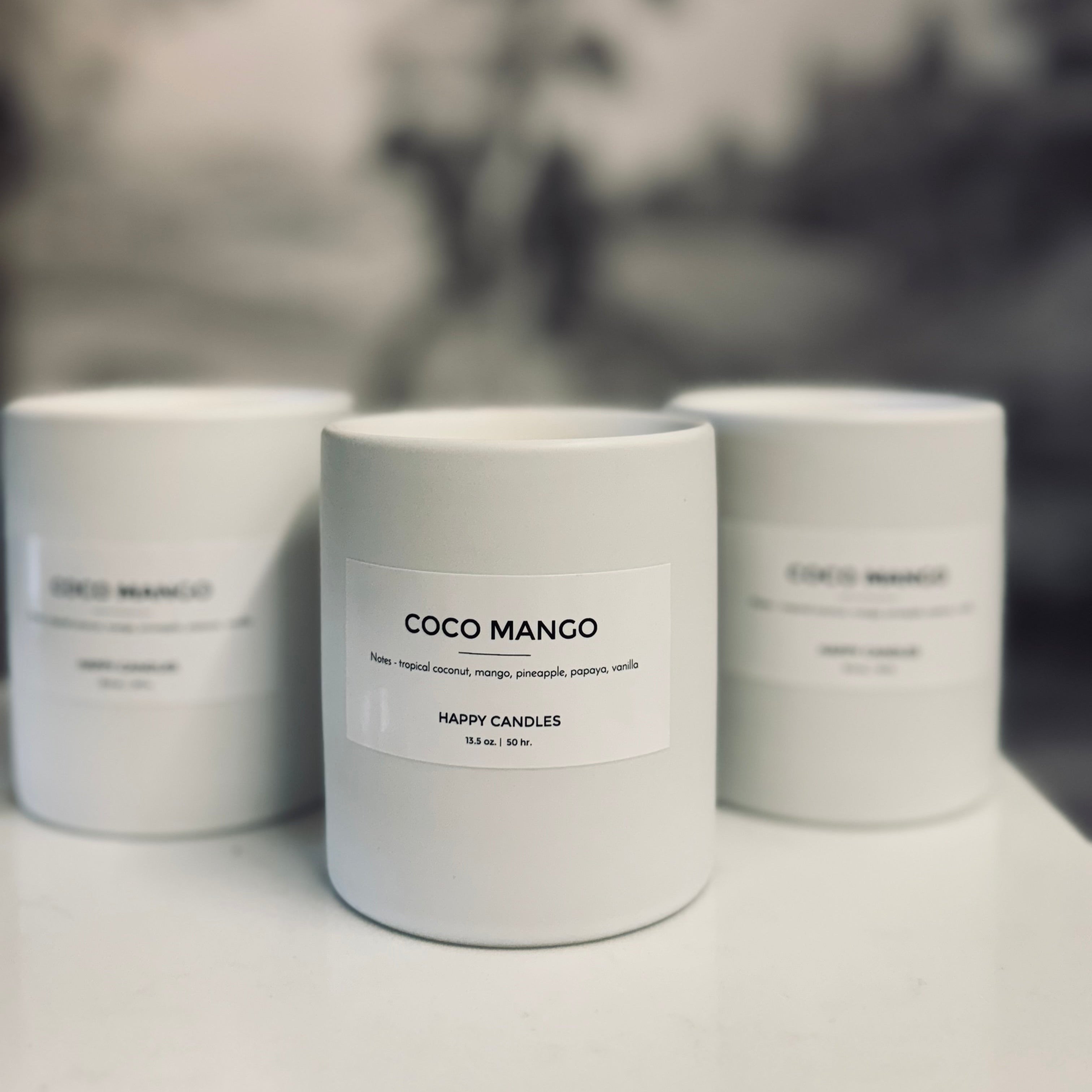 candle✣candle 　no2 white matte pot 2 wick – Z CANDLES