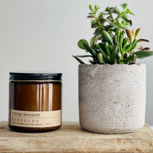 Load image into Gallery viewer, orange blossom