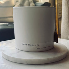 Load image into Gallery viewer, White Marble Trivet
