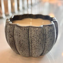 Load image into Gallery viewer, grey black pumpkin gourde (large)
